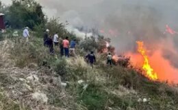 Hatay’da ormanda başlayan yangın evlere sıçradı